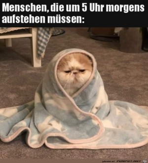 Frh-morgens-aufstehen.jpg auf www.funpot.net