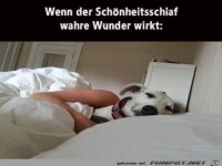 Sch�nheitsschlaf