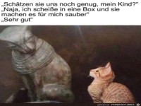 L�uft noch bei den Katzen
