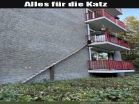 Alles für die Katz