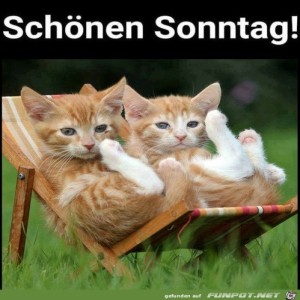 fun-Bild: Schönen Sonntag