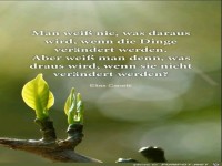 Man wei nie was daraus wird