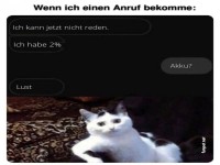 Wenn ich einen Anruf bekomme: Chat & Katze