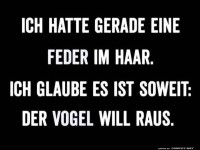 Wenn der Vogel aus dem Nest will!