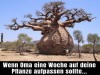weiter