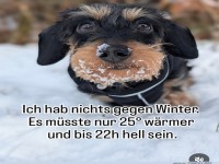 ich hab nichts gegen Winter