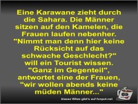 Eine Karawane zieht durch die Sahara