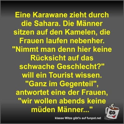 Eine-Karawane-zieht-durch-die-Sahara.jpg von Fossy