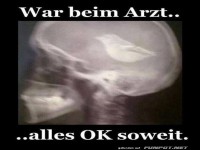 Wenn V�gel im Kopf fliegen...