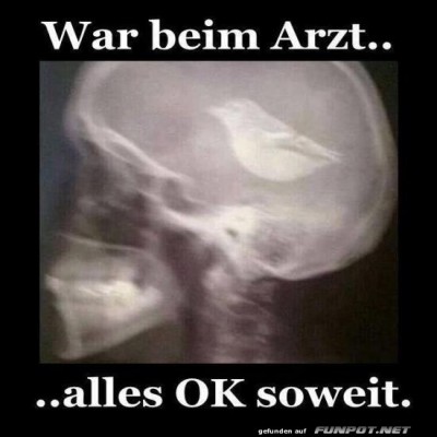 Wenn-Vögel-im-Kopf-fliegen....jpg von Brenda22