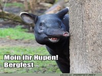 Hall�chen