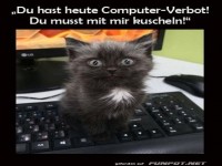 Fluffige Strafe: Tastatur gesperrt!