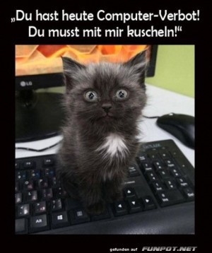 Fluffige-Strafe:-Tastatur-gesperrt!.jpg auf www.funpot.net