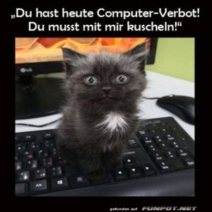 fun-Bild: Fluffige Strafe: Tastatur gesperrt!