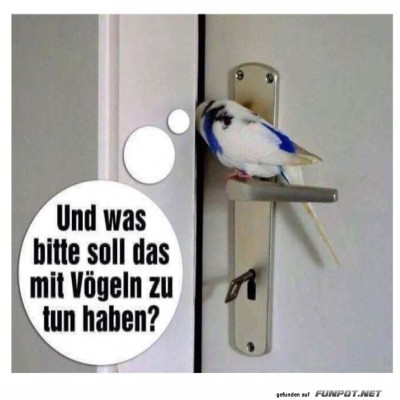 T&uuml;rgriff-Imitation:-Vogel-in-der-Klemme!.jpg von Brenda22