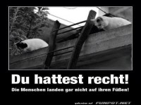 Du hast recht