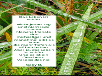das leben ist sch�n