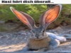 weiter