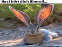 Gro�e Ohren