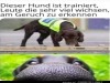 weiter