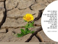 nichts ist unmoeglich