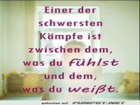 einer der schwersten Kaempfe