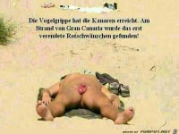 die Vogelgrippe hat die Kanaren erreicht....