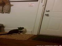 Verstoerende-Bilder-91