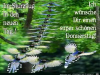 Donnerstag