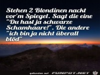 2 Blondinen