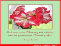 Seine Meinung teilen