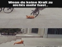 wenn du keine Kraft mehr hast