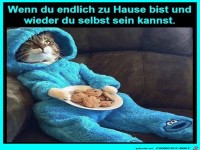 Endlich wieder Zuhause