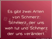 es gibt zwei arten von schmerz
