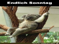 Endliche Sonntag