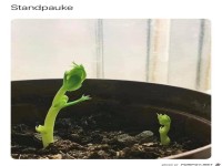 Da hlt jemand eine Standpauke