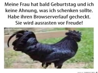 Browserverlauf