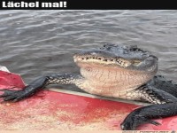 L�chel mal
