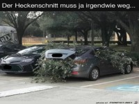 Ziemlich viel Grünschnitt