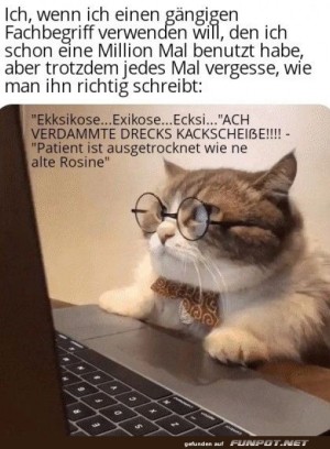 Blde-Fachbegriffe.jpg auf www.funpot.net