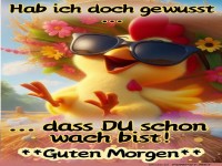 guten Morgen