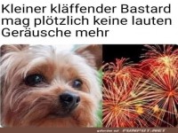 Pl�tzlich will man Ruhe