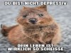 weiter