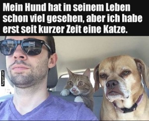 Hund-sieht-Katze-zum-ersten-Mal.jpg auf www.funpot.net