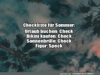 Sommer-Checkliste humorvoll