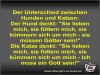 weiter