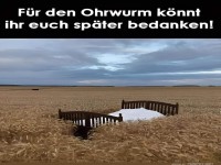 Schlafzimmer mitten im Kornfeld