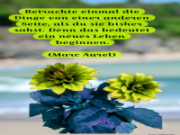 betrachte einmal die dinge