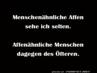 Affen oder Menschen? Die ewige Frage