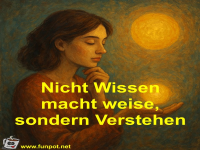 Nicht Wissen macht weise, sondern Verstehen